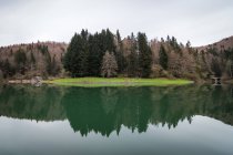 Árboles coníferas que crecen cerca de colinas a orillas del lago con una tranquila superficie de agua en un entorno rural tranquilo. - foto de stock