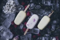 Bodegón de surtidos de frambuesas cremosas y paletas de vainilla encima de cubitos de hielo, frambuesas congeladas y flores - foto de stock