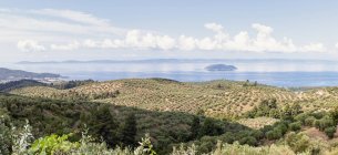 Живописный вид на холмистое зеленое побережье с прозрачной бирюзовой спокойной водой при ярком солнечном свете, Халкидики, Греция — стоковое фото