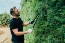 Kaukasier schneidet eine Arizonica-Hecke mit großer Schere für den Garten — Stockfoto