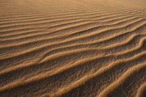 Paisagem pitoresca de praia de areia ondulada texturizada de costa remota em Tarifa, Espanha — Fotografia de Stock