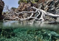 Vue pittoresque de l'île et du fond de la mer par une journée d'été ensoleillée en Halkidiki, Grèce — Photo de stock