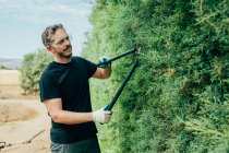 Кавказский мужчина обрезает изгородь из оризоники большими ножницами для сада — стоковое фото