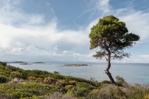 Scenic view of hilly coast and green tree against calm sea and breathtaking sky in bright day, Halkidiki, Greece — Stock Photo