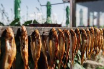 Various delicious smoked fish attached to wooden strip with nails on sunny day — Stock Photo