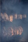 Rows of eviscerated fish hanging on ropes cooking inside smokehouse — Stock Photo
