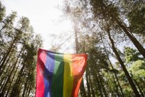 Vista laterale della donna adulta fiduciosa in abito casual che trasporta bandiera color arcobaleno sopra la testa il giorno ventoso — Foto stock