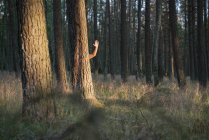 Abgeschnittenes Bild eines Mannes, der sich hinter einer Kiefer versteckt und im Wald mit bloßen Händen wedelt — Stockfoto