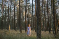 Adult woman in straw hat and sundress walking along forest road between pines at sunny day — Stock Photo