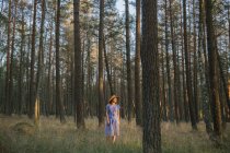 Mujer adulta con sombrero de paja y vestido de sol caminando por el camino forestal entre pinos en un día soleado - foto de stock