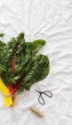 Bunch of fresh chard on wrinkled white cloth near small scissors and thread — Stock Photo
