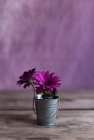 Tiny metal bucket with bright purple flowers placed on lumber tabletop — Stock Photo
