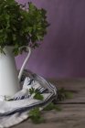 Крупним планом пучок зеленої свіжої петрушки в керамічному глечику на дерев'яній стільниці — стокове фото