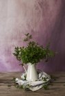 Bunch of green fresh parsley in ceramic jug on wooden tabletop — Stock Photo