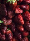 Fond de fraises mûres propres et saines en tas — Photo de stock