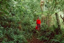 Mujer en rojo con gran maleta roja caminando en el bosque verde - foto de stock