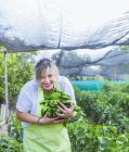 Gärtner in Schürze zeigt grüne Paprika vor der Kamera — Stockfoto