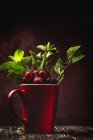 Gustose ciliegie mature appetitose con foglie in tazza rossa su sfondo scuro — Foto stock