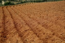 Agricultural preparation of soil for planting at ploughed field — Stock Photo