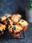 Homemade vegan blueberry muffins on cooling rack over dark background. Vertical. Copy space for text or design. — Stock Photo
