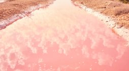 Eau rose salée du lagon rouge au bord de la mer — Photo de stock
