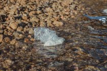Empty plastic crumpled bottles waste lying in clear water on seaside near rocks — Stock Photo