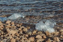 Пустые пластиковые скомканные бутылки отходы лежат на прибрежной скале рядом с чистой водой — стоковое фото