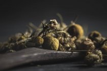 Nahaufnahme von getrocknetem Gänseblümchen-Häufchen in Holzlöffel auf dunklem Tisch zum Teekochen — Stockfoto