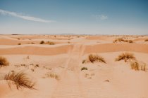 Trails from vehicle wheels on sandy dunes in arid desert on sunny day in Morocco — Stock Photo