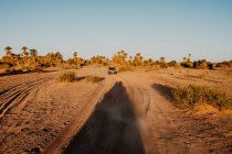 Транспортні засоби посеред пустинної дороги на сірий день з викривленим килимом у Марокко. — стокове фото