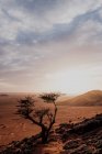 Cloudy sundown sky over hills and rocks in arid desert in evening in Morocco — Stock Photo