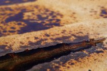 Closeup of weathered iron surface with corrosion spots and remaining old paint — Stock Photo
