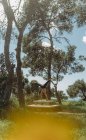 Homme barbu sportif pratiquant le yoga asana à la main dans une prairie idyllique tranquille contre le ciel bleu — Photo de stock