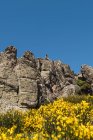 Grey goats looking with curiosity, standing on stony rocks on background of bright blue sky — Stock Photo