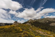 Paesaggio incredibile di colline di pietra coperte da erba secca sotto grandi nuvole bianche morbide sul cielo — Foto stock