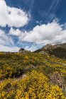 Increíble paisaje de colinas de piedra cubiertas de hierba seca bajo grandes nubes blancas esponjosas en el cielo - foto de stock