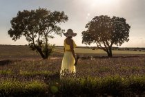 Вид ззаду на романтичну жінку в капелюсі і жовтій сукні, насолоджуючись мальовничим видом на лавандове поле в сонячний день — стокове фото