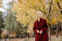 Attraktive Frau im hellen Mantel spaziert durch immergrünen Wald — Stockfoto