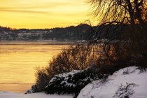 Laublose Bäume wachsen am friedlichen, zugefrorenen Flussufer im Winter bei lebendigem Sonnenuntergang — Stockfoto