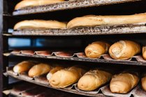 Loafs de delicioso pan fresco y bollos colocados en bandejas de metal en rack en la panadería - foto de stock