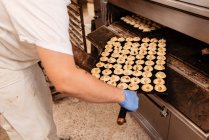 Человек на полях заглядывает внутрь профессиональной печи во время работы в пекарне — стоковое фото