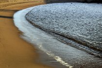 Orilla arenosa húmeda durante el día en la playa del norte - foto de stock