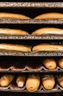 Loafs of yummy fresh bread and buns placed on metal trays on rack in bakery — Stock Photo