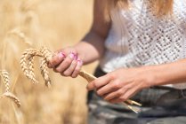 Unrecognizable female holding bunch of spikes while walking on blurred background of field on sunny day in nature — Stock Photo