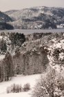 Valle montañoso pintoresco rural con árboles que cubren la nieve y la orilla del lago en clima sombrío en Noruega - foto de stock