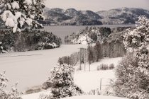 Valle montañoso pintoresco rural con árboles que cubren la nieve y la orilla del lago en clima sombrío en Noruega - foto de stock