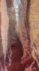 Mature fraîche en suspension carcasse tout en comptant dans l'atelier de l'abattoir — Photo de stock