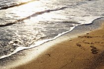 Wet sandy shore on sunny daytime in Norway beach — Stock Photo