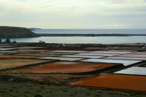 Erstaunliche ungewöhnliche helle Felder auf Lanzarote Kanarische Inseln Spanien — Stockfoto