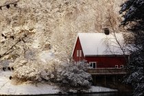 Cozy red colored country house on shore of remote river surrounded with white frosty trees in winter woods — Stock Photo